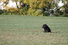 IMG_0938